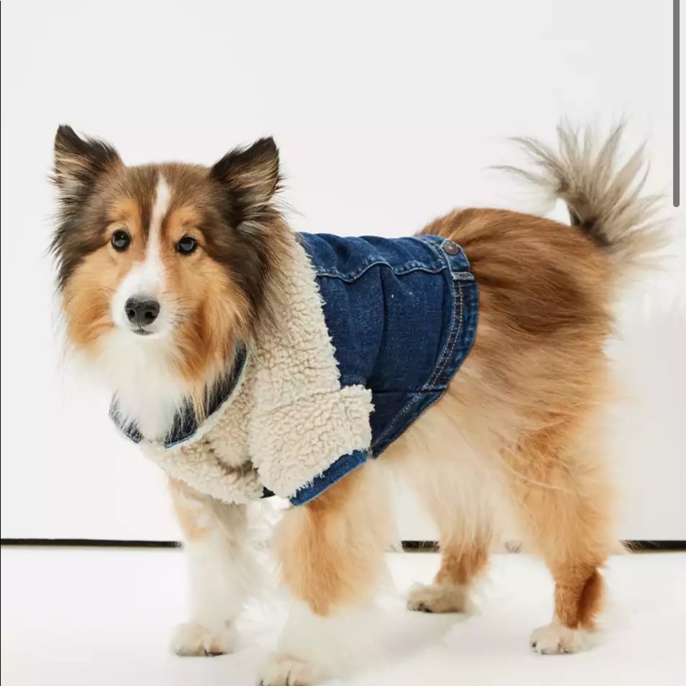 Dog Shearling Sweater! Brand New!